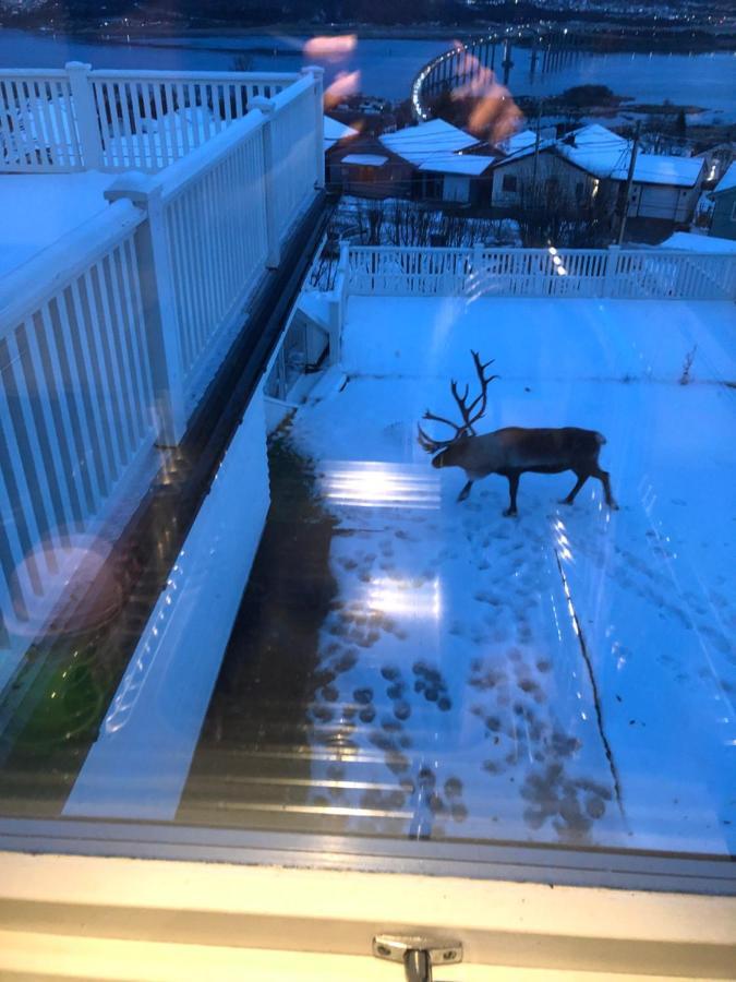 Moderne Og Trivelig Leilighet, Med Unik Utsikt Тромсе Екстер'єр фото